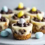 Easter Chocolate Chip Cheesecake Bites